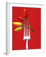 Four Chili Peppers on a Fork-Marc O^ Finley-Framed Photographic Print