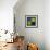 Four Circles III-Eline Isaksen-Framed Art Print displayed on a wall