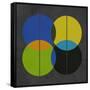 Four Circles III-Eline Isaksen-Framed Stretched Canvas