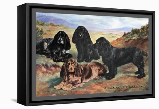 Four Cocker Spaniels-null-Framed Stretched Canvas