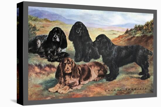 Four Cocker Spaniels-null-Stretched Canvas