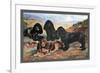 Four Cocker Spaniels-null-Framed Premium Giclee Print