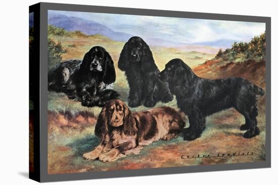 Four Cocker Spaniels-null-Stretched Canvas