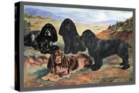 Four Cocker Spaniels-null-Stretched Canvas