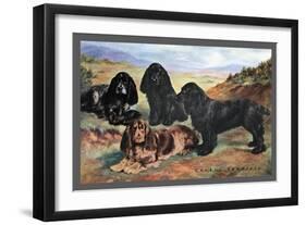 Four Cocker Spaniels-null-Framed Art Print