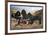 Four Cocker Spaniels-null-Framed Art Print