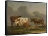 Four Cows in a Meadow-Paulus Potter-Framed Stretched Canvas