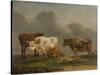 Four Cows in a Meadow-Paulus Potter-Stretched Canvas