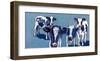 Four Cows-Kathryn Wronski-Framed Premium Giclee Print