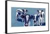 Four Cows-Kathryn Wronski-Framed Stretched Canvas