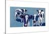 Four Cows-Kathryn Wronski-Stretched Canvas