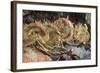 Four Cut Sunflowers, c.1887-Vincent van Gogh-Framed Giclee Print