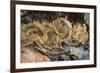 Four Cut Sunflowers, c.1887-Vincent van Gogh-Framed Premium Giclee Print