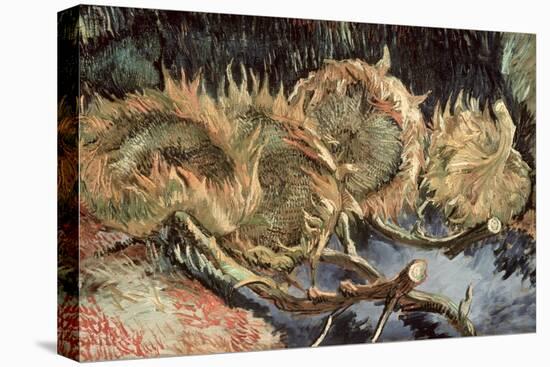 Four Cut Sunflowers, c.1887-Vincent van Gogh-Stretched Canvas