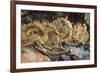 Four Cut Sunflowers, c.1887-Vincent van Gogh-Framed Giclee Print