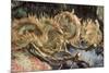 Four Cut Sunflowers, c.1887-Vincent van Gogh-Mounted Giclee Print