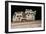 Four Cute Baby Raccoons on A Deck Railing-EEI_Tony-Framed Photographic Print