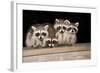 Four Cute Baby Raccoons on A Deck Railing-EEI_Tony-Framed Photographic Print