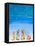 Four Dogs Star Gazing-Lanie Loreth-Framed Stretched Canvas