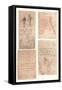 Four drawings illustrating the theory of the movements of the human figure, c1472-c1519 (1883)-Leonardo Da Vinci-Framed Stretched Canvas