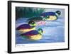 Four Ducks-Walasse Ting-Framed Art Print