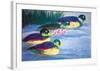 Four Ducks-Walasse Ting-Framed Art Print