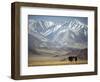 Four Eagle Hunters in Tolbo Sum, Golden Eagle Festival, Mongolia-Amos Nachoum-Framed Photographic Print