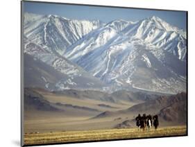 Four Eagle Hunters in Tolbo Sum, Golden Eagle Festival, Mongolia-Amos Nachoum-Mounted Photographic Print