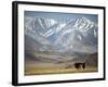 Four Eagle Hunters in Tolbo Sum, Golden Eagle Festival, Mongolia-Amos Nachoum-Framed Photographic Print