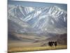 Four Eagle Hunters in Tolbo Sum, Golden Eagle Festival, Mongolia-Amos Nachoum-Mounted Photographic Print