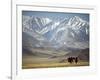 Four Eagle Hunters in Tolbo Sum, Golden Eagle Festival, Mongolia-Amos Nachoum-Framed Photographic Print