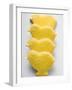 Four Easter Biscuits (Yellow Chicks)-null-Framed Photographic Print