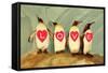 Four Emperor Penguins, LOVE-null-Framed Stretched Canvas