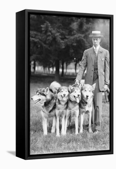 Four Eskimo Dogs at the Mineola Dog Show-null-Framed Stretched Canvas