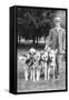 Four Eskimo Dogs at the Mineola Dog Show-null-Framed Stretched Canvas