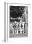 Four Eskimo Dogs at the Mineola Dog Show-null-Framed Art Print