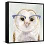 Four-eyed Forester II-Victoria Borges-Framed Stretched Canvas
