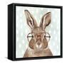 Four-eyed Forester III-Victoria Borges-Framed Stretched Canvas