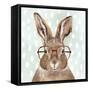 Four-eyed Forester III-Victoria Borges-Framed Stretched Canvas