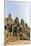 Four-Faced Towers in Prasat Bayon, Angkor Thom, Angkor, UNESCO World Heritage Site, Cambodia-Michael Nolan-Mounted Photographic Print