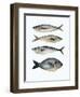 Four Fish I-Emma Scarvey-Framed Art Print