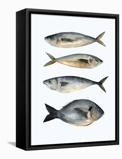 Four Fish I-Emma Scarvey-Framed Stretched Canvas