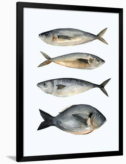 Four Fish I-Emma Scarvey-Framed Art Print