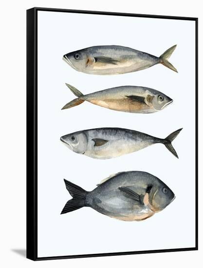 Four Fish I-Emma Scarvey-Framed Stretched Canvas
