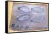 Four Fishes-Alfred Wallis-Framed Stretched Canvas