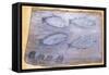 Four Fishes-Alfred Wallis-Framed Stretched Canvas