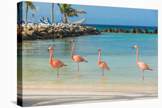 Four Flamingos on the Beach-PhotoSerg-Stretched Canvas