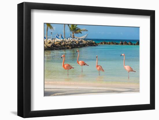 Four Flamingos on the Beach-PhotoSerg-Framed Photographic Print