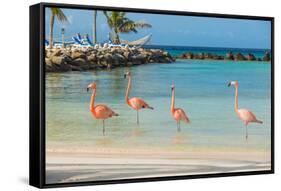 Four Flamingos on the Beach-PhotoSerg-Framed Stretched Canvas
