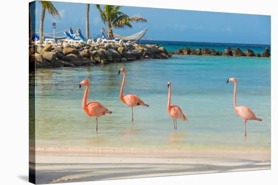 Four Flamingos on the Beach-PhotoSerg-Stretched Canvas